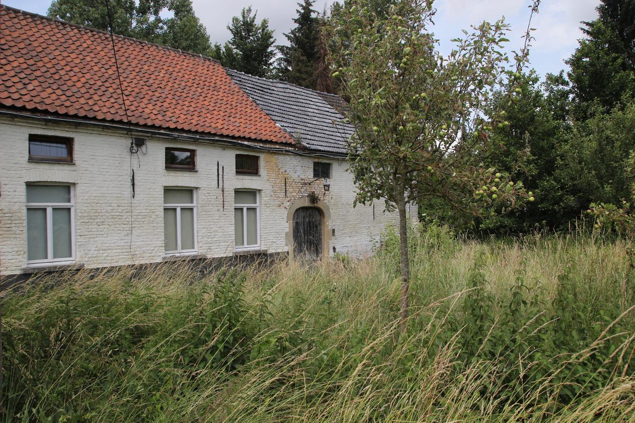 B&B Dotter 17 Erpe-Mere Exterior photo